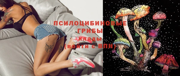 spice Заволжье
